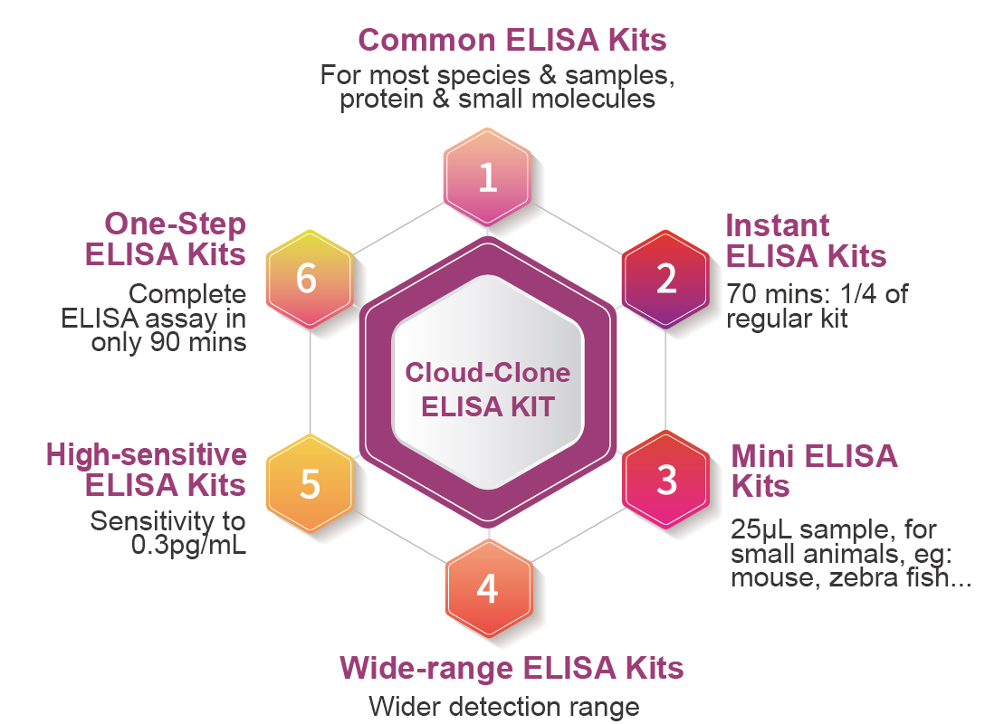 Cloud-Clone Addresses Persistent ELISA Assay Pain Points with Diversified Kit Portfolio