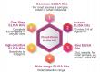 Cloud-Clone Addresses Persistent ELISA Assay Pain Points with Diversified Kit Portfolio