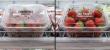 Professional Anti-fog APET Packaging Factories Scale Up to Meet Supermarket Cold Chain Demands