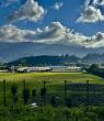 Hybrida Farms Runs Medical Cannabis Production on Costa Rica’s 98.6% Renewable Grid