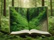 FSC Certified Excellence: How CAIMEI Emerged as a China Best Book Printing Solution Provider