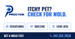 Pet Health Issues Can Signal Hidden Mold in New York Homes