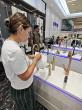 Canton Fair Quotes Keep Rising. SourceFoshan Takes Buyers Straight to Foshan Factories