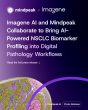 Imagene AI and Mindpeak Collaborate to Bring AI-Powered NSCLC Biomarker Profiling into Digital Pathology Workflows