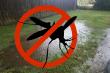 West Nile Virus in Denton TX: How to Prevent Standing Water