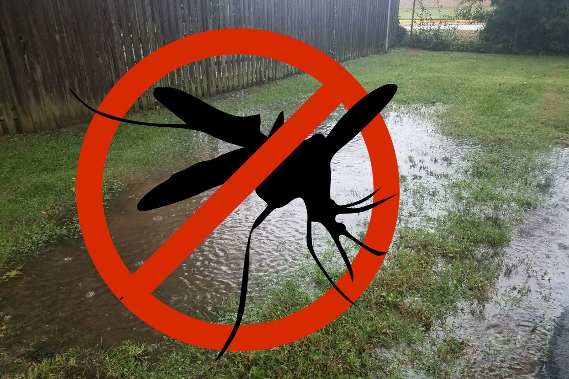 West Nile Virus in Denton TX: How to Prevent Standing Water