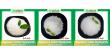 99.5% Purity Magnesium Sulfate Heptahydrate Shengtaifert Powers Photosynthesis and Feed Formulations