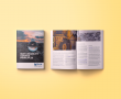 Nickel Institute calls on industry, customers and regulators to advance responsible nickel through Guiding Principles