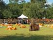 Pumpkin Patch and Fall Festival Celebrations to Take Place at 2636 New Berlin Road in Jacksonville