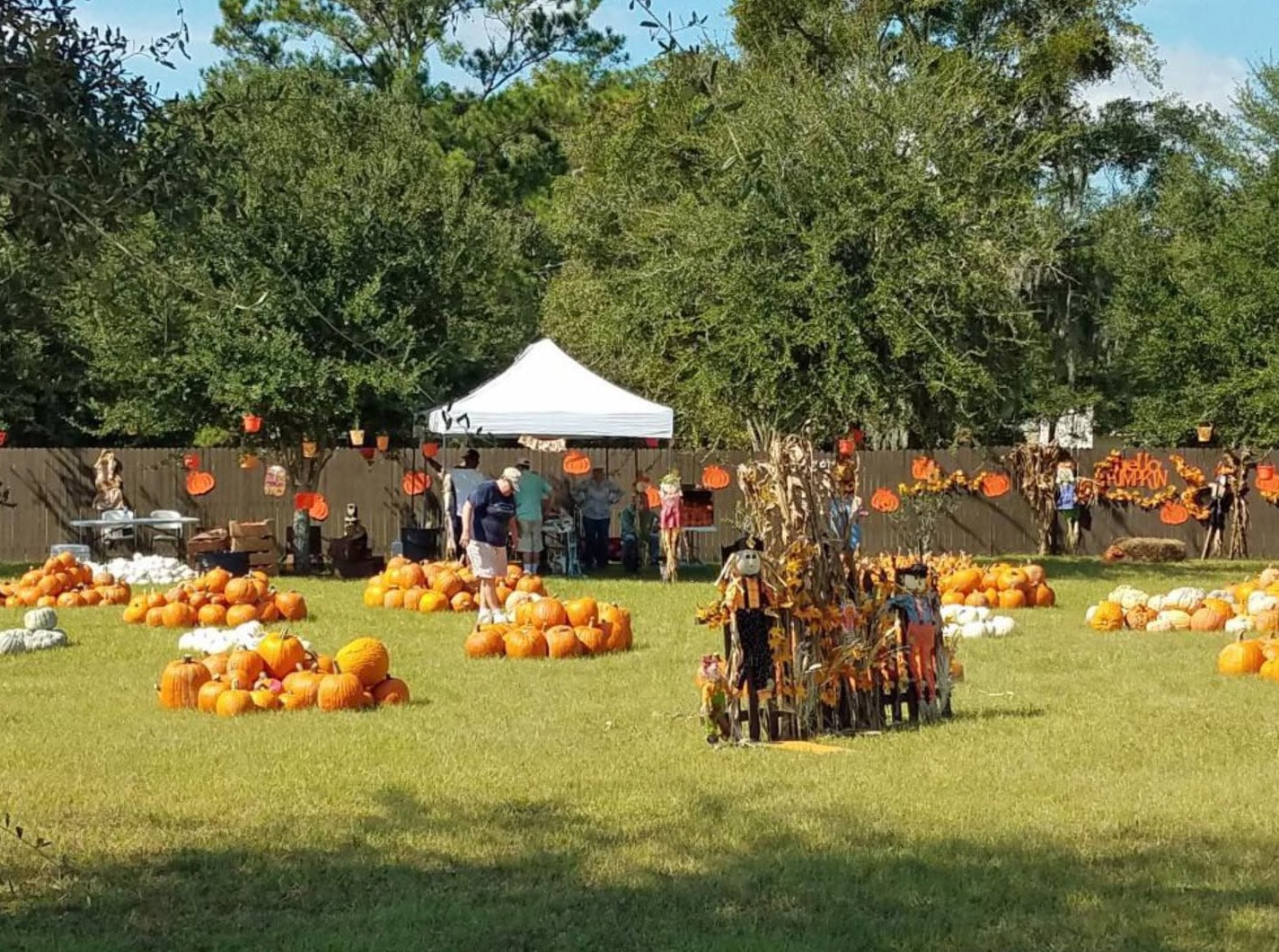 Pumpkin Patch and Fall Festival Celebrations to Take Place at 2636 New Berlin Road in Jacksonville