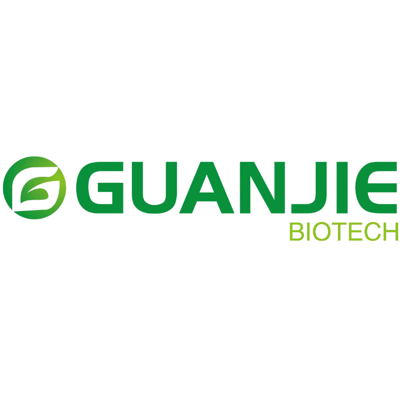 Five Reputable Freeze Dried Fruit Powder Manufacturers in China 2026: Advancing Food Processing