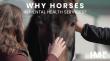 Horses for Mental Health Releases New Video Celebrating the Horse-Human Connection During HORSETOBER™