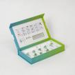 MJCPACK Highlights Custom Peptide Vial Packaging Design for Product Protection