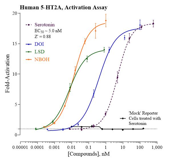 INDIGO Biosciences Expands Neuroscience Drug Discovery Portfolio with Human 5-HT2A Reporter Assay