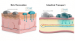 Trait Biosciences’ CBD82S™ Demonstrates Enhanced Membrane Permeation and Transport in Ex Vivo Models