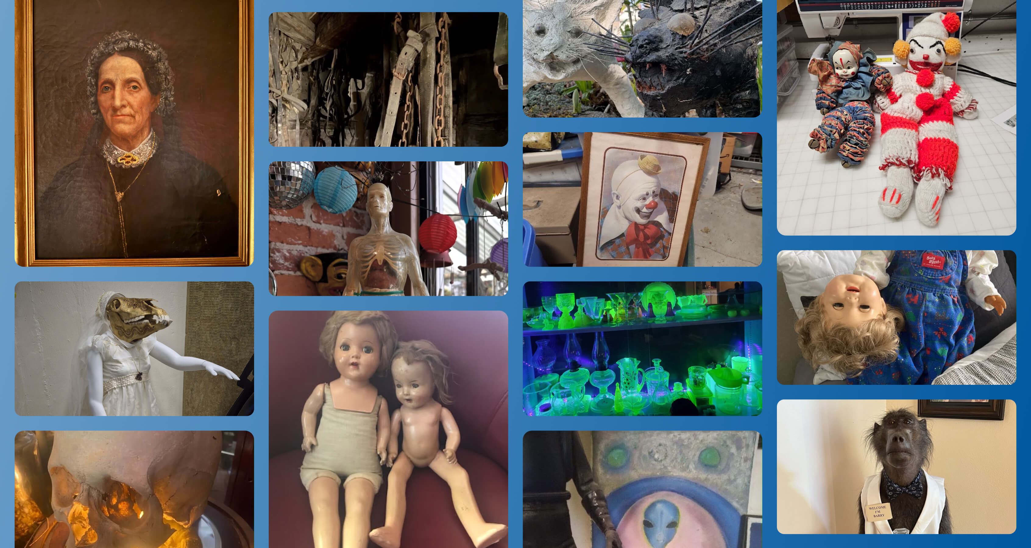 1-800-GOT-JUNK? Brings Back Weird Junk: Nick Fox’s Weird Inheritance Edition