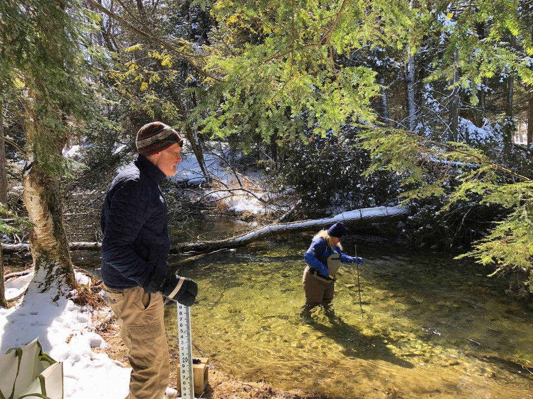 Collaborative Research at The Ridges Sanctuary Informs Future Conservation