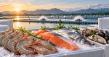 FishMatch Group Expands to Global Aquaculture and Seafood Marketplace, Connecting Producers with International Buyers