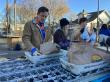 Denver Feed-A-Family Rises in Strength, Rallying Community to Restore a Thanksgiving Tradition