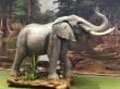 China Leading Animatronic Animals Supplier Hidinosaurs Meets CE & RoHS Standards for Global Theme Parks