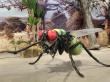 Crafting Immersive Exhibits for European Markets: How Hidinosaurs Meets Strict Industry Standards