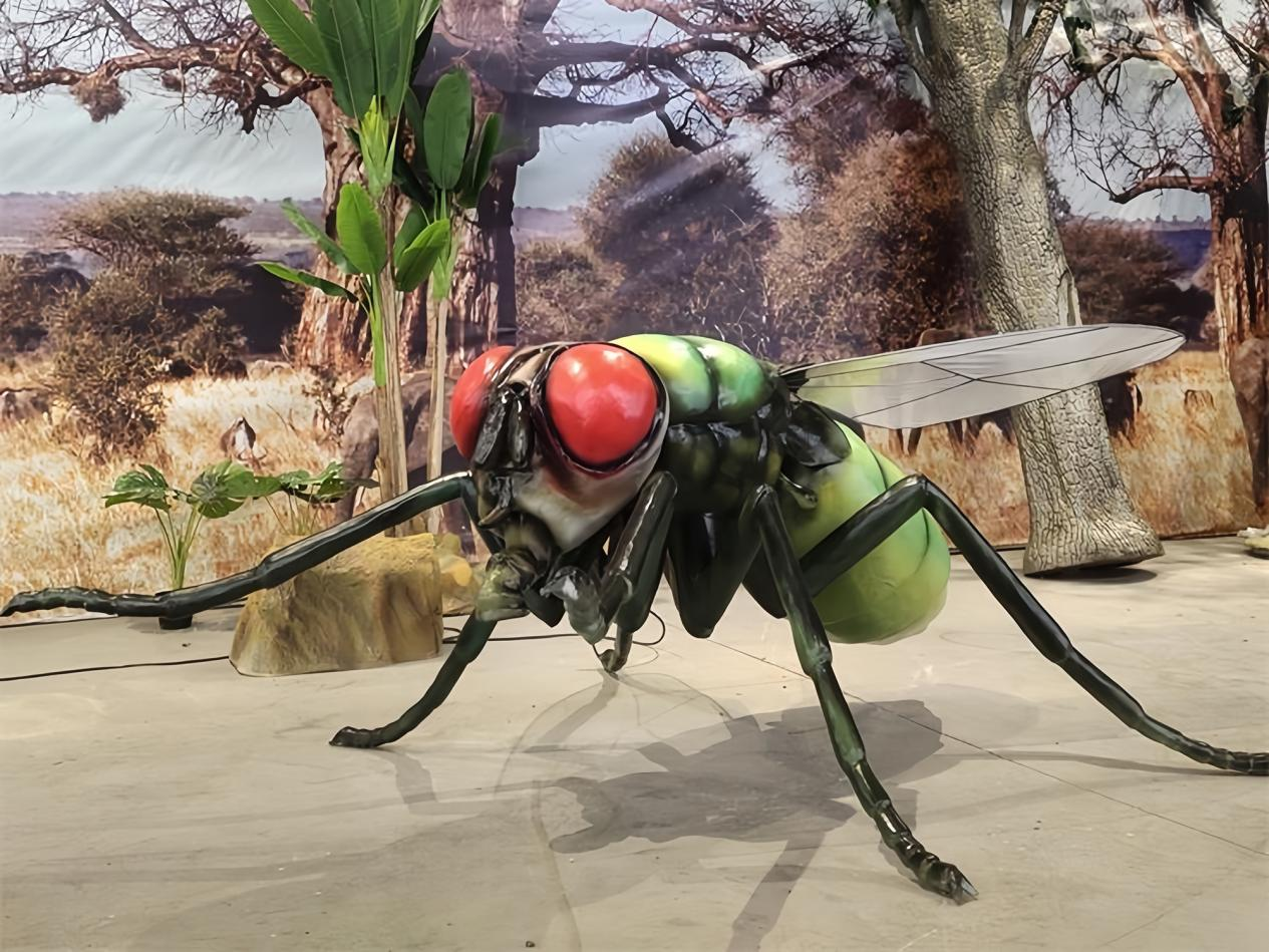 Crafting Immersive Exhibits for European Markets: How Hidinosaurs Meets Strict Industry Standards