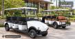 NAVEO Highlights Growing Commercial Applications for 6-Seater and 6+2-Seater Electric Buggies