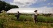 Michigan School of Botanical Medicine: Clinical Herbalism Rooted in Community Care