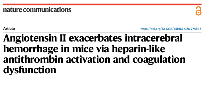Nature Communications Study Reveals Angiotensin-II-Driven Mechanism for Exacerbated Intracerebral Hemorrhage