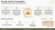 New Skincare Industry Report Highlights the Anti-Aging Benefits and Market Potential of Ferulic Acid