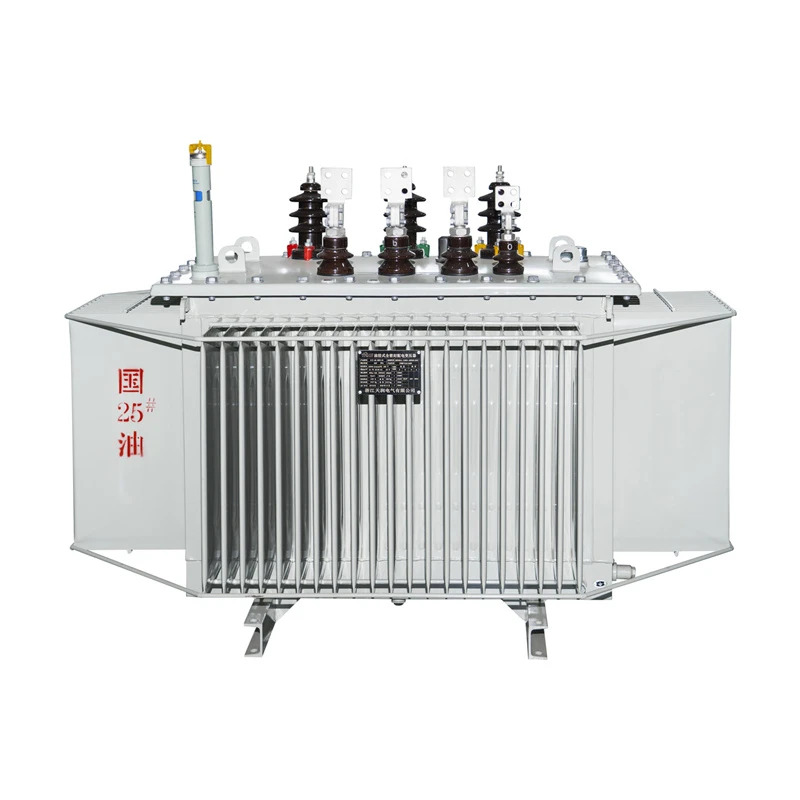 Top Distribution Transformer Manufacturer Zhejiang Tianrun Electric Advances Power Distribution Solutions