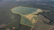 162± Acres w/Timber, Road Frontage, Pond and Ag Zoning in Brookneal, VA Set for Auction Announces Nicholls Auction Mktg