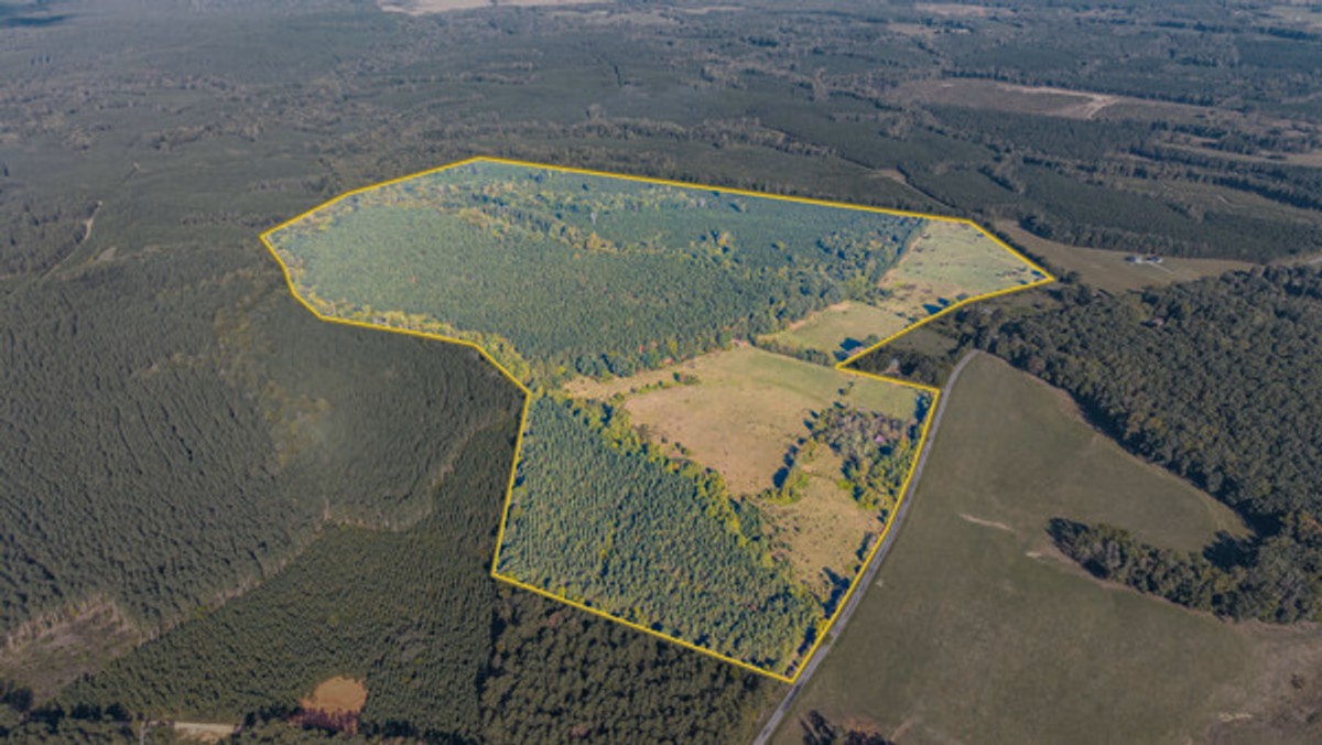 162± Acres w/Timber, Road Frontage, Pond and Ag Zoning in Brookneal, VA Set for Auction Announces Nicholls Auction Mktg