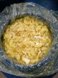 Top Mushroom Manufacturer Expands Global Food Supply Solutions