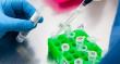 RNA Purification Protocol: A Step-by-Step Guide for Reliable Results