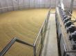 Awakened Grains™ Announces Production Partnership with  Proximity Malt