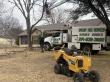 Speedy Tree Services Urges Winter Prep for Drought-Stressed North Texas Trees
