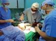 Chinese Neurosurgical Journal Review Explores Neurological Considerations for Gender Dysphoria Care