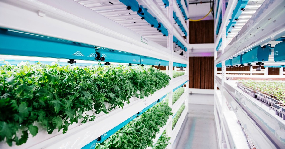 SecondBloom Auctions to Offer Planted Detroit, Michigan’s Largest Vertical Farm, in Sealed-Bid Sale
