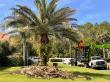 Tree Tech Tree Service announces launch of new website