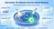 Cellular Bioactivity: The Ultimate Functional Assay to Decode Active Protein Function