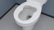 InventionHome® Product Developer Creates Ergonomic Toilet Seat Designed to Improve Access for Personal Hygiene