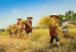 Lux Travel DMC veranstaltet im November zweiten FAM-Trip 2026 zur Präsentation neuer zweiwöchiger Vietnam-Rundreisen