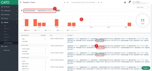 Screenshot of Cato Instant*Insight
