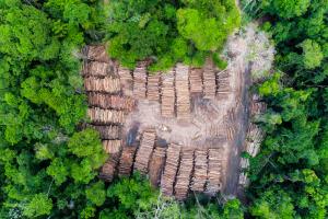 wood stockpiles from above
