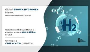 brown hydrogen market