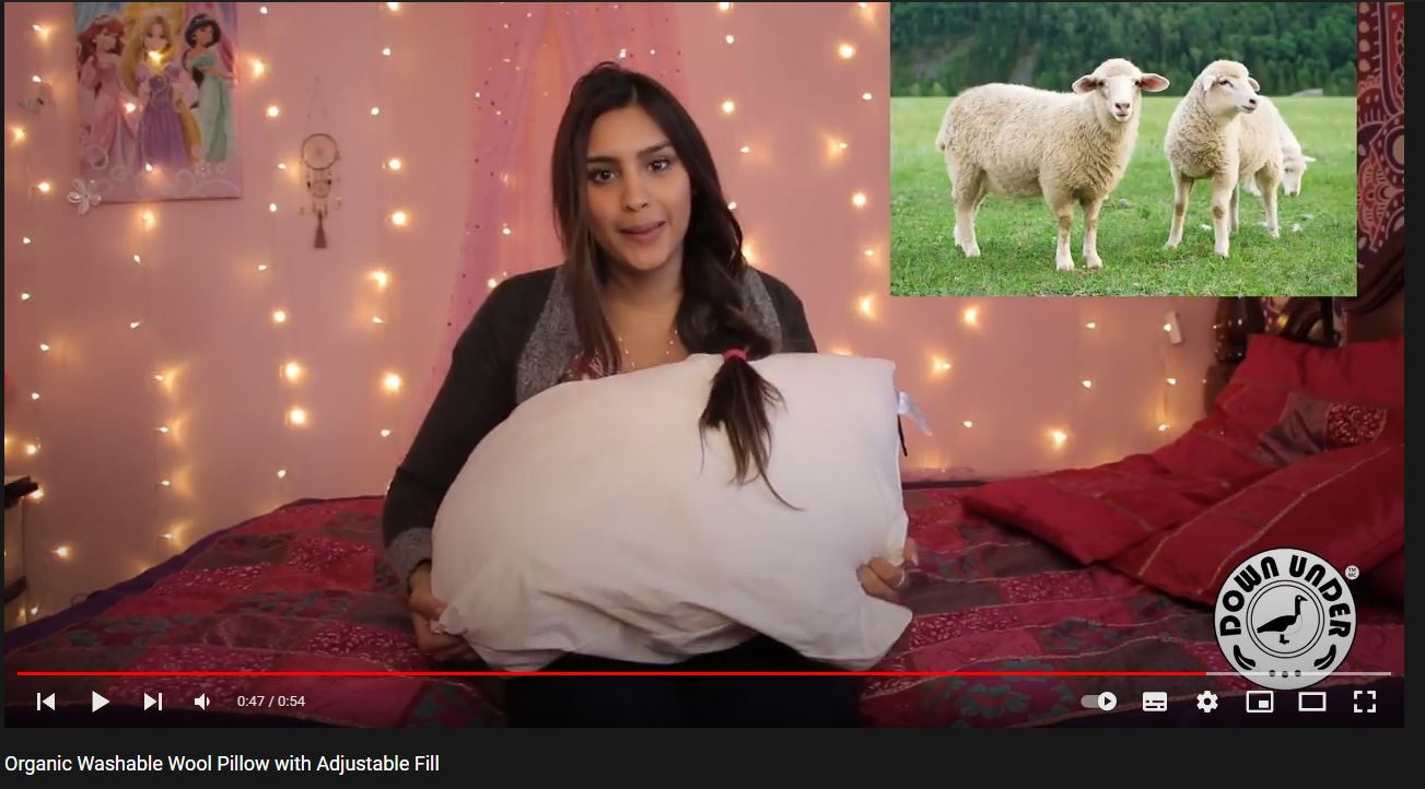 Social Media Influencer Deepa Prashad & Cityline Host Reviews the