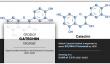 Catechin Market Size, Share, Competitive Landscape, Trend Analysis and Industry Forecast
