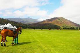 Plett Polo Club