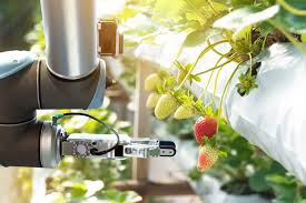 Agricultural Robots and Mechatronics